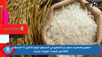 «توفير وضمان» سعر أرز الشعير في الأسواق اليوم الاثنين 11 أغسطس 2025 هل شهدت تغيرات جديدة